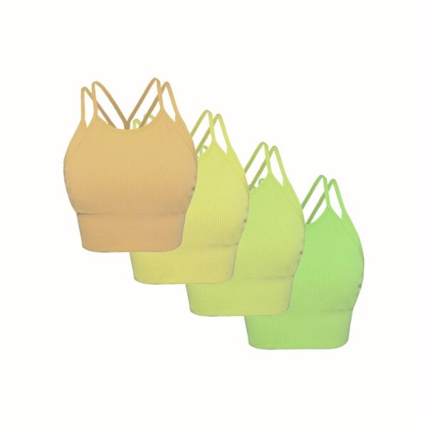 Plus Size High-Impact Sports Bra Wholesale