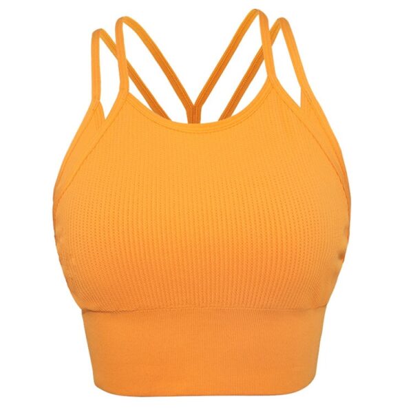 Plus Size High-Impact Sports Bra Wholesale
